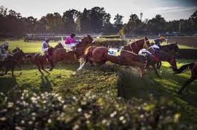 133. Velká pardubická se Slavia pojišťovnou